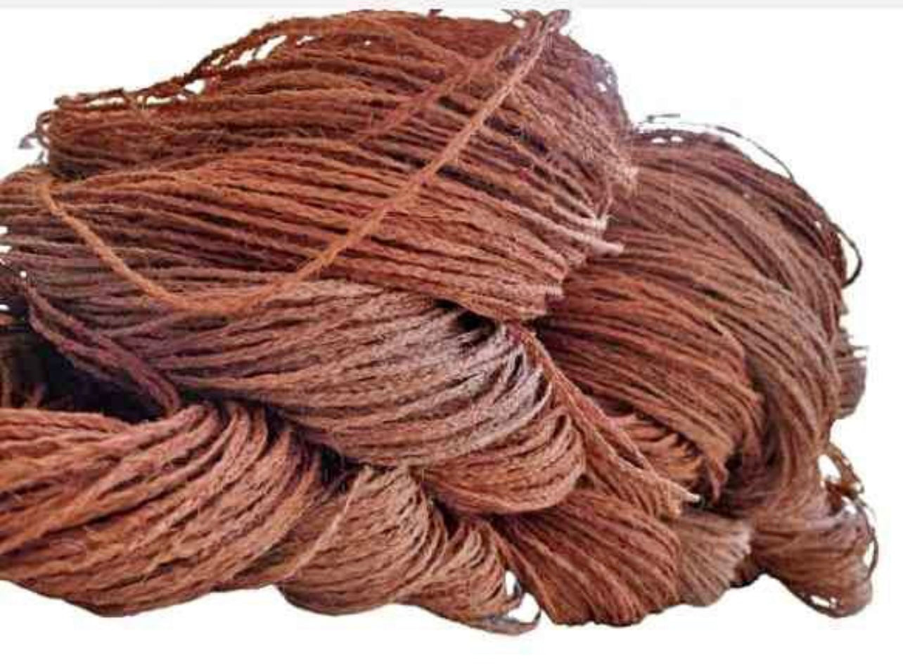 Kafa pulu (100yards)